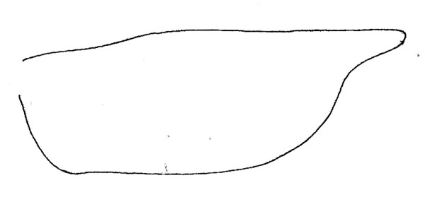Achtervleugel van een Gelechiide, waarvan de buitenrand onder de vleugelpunt sterk is ingetrokken.